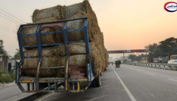 20251115_213046-BlendCollage