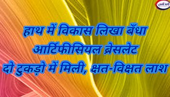 20251128_210706-BlendCollage