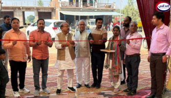 20251130_180121-BlendCollage