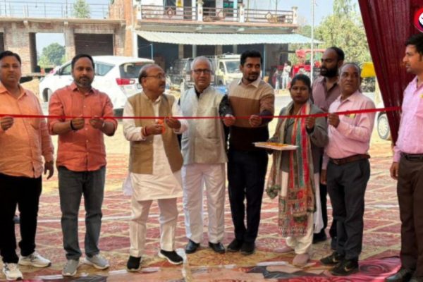 20251130_180121-BlendCollage