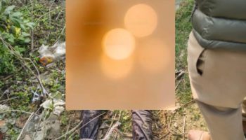 20260104_205219-BlendCollage